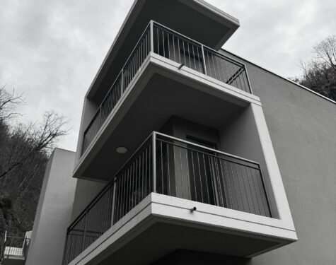 Bellinzona – Carasso 3486